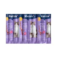 تشویقی مدادی وینستون / طعم ماهی / ۵ عددی