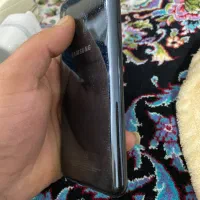 معلومه سهره یا قناری