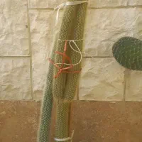 گلدان طبیعی|گل و گیاه طبیعی|سمنان, |دیوار