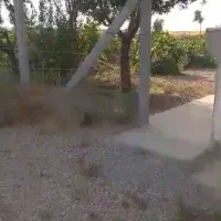 فروش یک قطعه باغ انگور و میوه جات|فروش خانه و ویلا|اشترینان, |دیوار