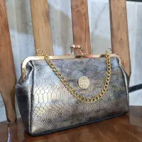 انواع کیف دستی مجلسی|کیف، کفش، کمربند|زابل, |دیوار