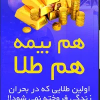 بیمه عمر مبتنی برطلا. تکمیلی . شخص ثالث تمام شرکت|خدمات مالی، حسابداری، بیمه|اهواز, کوروش|دیوار