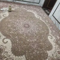 فرش|فرش|زابل, |دیوار