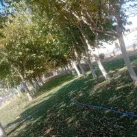 هرس درختان،کاشت انواع سبزی بطور حرفه ای