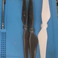 ملخ فانتوم 4
