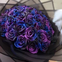 گل رز