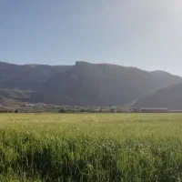 فروش زمین کشاورزی