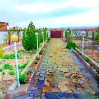 باغچه درخت ۱۲ ساله میوه آب مدار پروانه دار