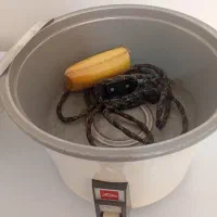 پلوپز توشیبا ژاپنی  و سرخ کن برقی ایتالیایی اصل