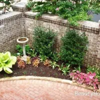 خدمات باغبانی گل کاری باغچه کاری تعویض خاک گلدون|خدمات باغبانی و درختکاری|تهران, شهرک غرب|دیوار