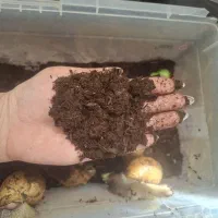 خاک تخصصی بستر حلزون