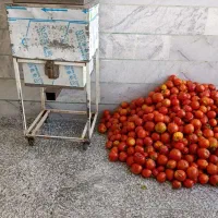 آبگیری گوجه درب منزل