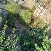 منزل مسکونی زرواو|فروش زمین و ملک کلنگی|نمشیر, |دیوار