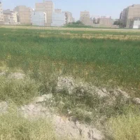 زمین-کشاورزی-200-متر