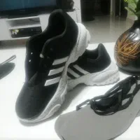 کفش اسپورت نو