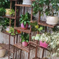 استند گلدان|گل و گیاه طبیعی|تهران, باغ خزانه|دیوار