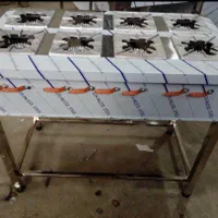 اجاقگاز ۴شعله فردار و پایه دار صنعتی استیل|کافیشاپ و رستوران|رباطکریم, |دیوار