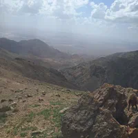 سی راس  بز فروشی