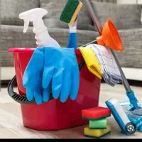 خدمات نظافتی ظریف