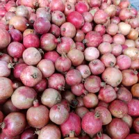 رب و به|خوردنی و آشامیدنی|سیدان, |دیوار