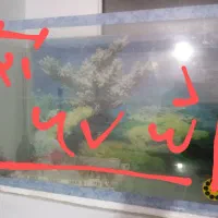 آکواریوم با لوازم