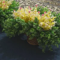 سبد گل
