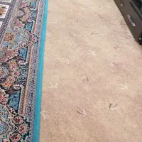 پالاز موکت  ۴۰متر|موکت|چمران, |دیوار