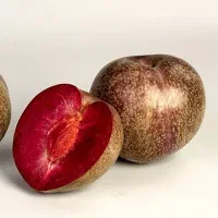 پیشفروش نهال آلو آرژانتینی خونی|خدمات باغبانی و درختکاری|ملکان, |دیوار