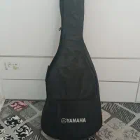 گیتار کلاسیک canorous model ck90|گیتار، بیس، امپلیفایر|مشهد, جاهد شهر|دیوار