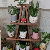 استندچوبی گلدون.نو نو.کاملا سالم ومحکم وضد آب