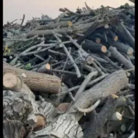 خریدار انواع چوب|خدمات باغبانی و درختکاری|روانسر, |دیوار