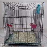 قفس پرنده|لوازم جانبی حیوانات|ابهر, |دیوار