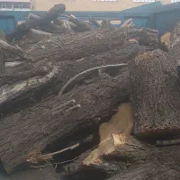 خرید انواع چوب