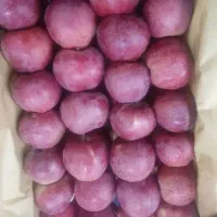 سیب سوپر|خوردنی و آشامیدنی|مشگین شهر, |دیوار