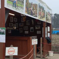 استخدام نیروی عکاس|استخدام هنری و رسانه|نور, |دیوار