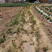 زمین ۶۰۰ متری عاشق اباد|فروش زمین و ملک کلنگی|اصفهان, عاشق‌آباد|دیوار