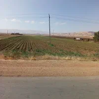 زمین-دیم-واسه-سیب-زمینی-یا-گوچه