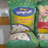 حراج برنج بشتابید