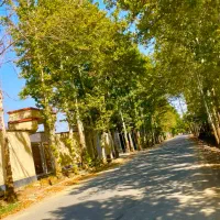 ۲۹۰ متر زمین ،سهیلیه، بهاران اغچه حصار