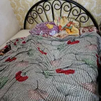 تخت فلزی 2نفره باتشک