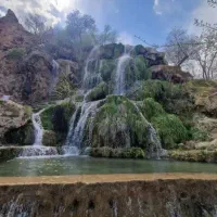 توریکروزه نیاسر