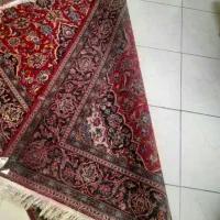 قالیچه دست باف کاشان|فرش|تهران, شیخ هادی|دیوار