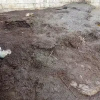 کودحیوانی گوسفندی نرم بدون آشغال