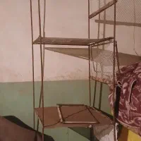 قفس مرغ و خروس ۳تا چسبیده بهم