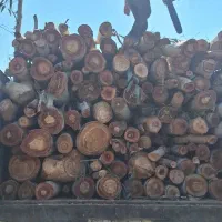 چوب،اره، ویلا باغ|خدمات باغبانی و درختکاری|دزفول, |دیوار