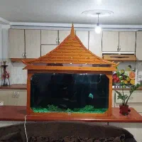 آکواریوم ژاپنی تک