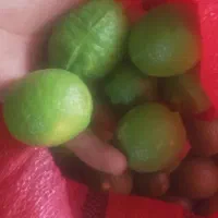 لیمو ترش سر باغی تازه