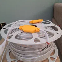 ریسه شلنگی انبه ای