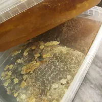 عسل با موم و صاف شده|خوردنی و آشامیدنی|تهران, زرگنده|دیوار