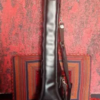 سافت کیس سه تار